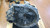 CITROEN C3 «III» (2016) CAMBIO E TRASMISSIONE CAMBIO USATO Da 2016 A 2020 [[258625]]