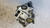 HONDA CR-V «I» (1997) IMPIANTO ELETTRICO ALTERNATORE USATO Da 1999 A 2002 [[258640]]