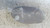 MERCEDES CLASSE GLA «X156» (2017) TERMICO VASCHETTA ACQUA USATO Da 2017 in poi [[259319]]