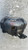 FIAT 500L (2013) IMPIANTO FRENANTE PINZA FRENO ANT. DX. USATO Da 2014 A 2017 [[259516]]