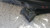 RENAULT MODUS (2005) ASSALE BRACCIO OSCILLANTE ANT. SX. USATO Da 2010 A 2013 [[259546]]