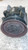 RENAULT MODUS (2005) TERMICO COMPRESSORE A/C USATO Da 2010 A 2013 [[259554]]