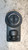 OPEL INSIGNIA «A» SW (2009) IMPIANTO ELETTRICO INTERRUTTORE ILLUMINAZIONE USATO Da 2008 A 2013 [[259779]]