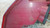 OPEL INSIGNIA «A» SW (2009) FANALERIA FANALE POST. SX. USATO Da 2008 A 2013 [[259789]]
