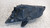 FORD FOCUS «II» SW (2005) FANALERIA PROIETTORE ANT. DX. USATO Da 2004 A 2007 [[259845]]