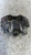PIAGGIO PORTER MAXXI (2009) IMPIANTO FRENANTE PINZA FRENO ANT. DX. USATO Da 2010 A 2015 [[260202]]