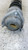 PIAGGIO PORTER MAXXI (2009) ASSALE AMMORTIZZATORE ANT. DX. USATO Da 2010 A 2015 [[260215]]