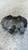 PIAGGIO PORTER MAXXI (2009) IMPIANTO FRENANTE PINZA FRENO ANT. DX. USATO Da 2010 A 2015 [[260220]]