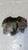 PIAGGIO PORTER MAXXI (2009) IMPIANTO FRENANTE PINZA FRENO ANT. SX. USATO Da 2010 A 2015 [[260240]]