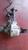 FORD RANGER «III» (2009) CAMBIO E TRASMISSIONE DIFFERENZIALE ANT. USATO Da 2010 in poi [[260451]]