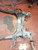 OPEL MOKKA (2013) ASSALE ASSALE ANT. USATO Da 2012 A 2016 [[260949]]