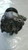OPEL MOKKA (2013) TERMICO COMPRESSORE A/C USATO Da 2012 A 2016 [[260893]]