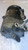 FIAT FREEMONT (2011) TERMICO COMPRESSORE A/C USATO Da 2011 A 2014 [[261126]]