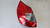 RENAULT SCÉNIC «II» (2003) FANALERIA FANALE POST. SX. USATO Da 2005 A 2009 [[261294]]
