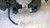 FIAT BRAVO «II» (2007) STERZO DEVIOGUIDA COMPLETO USATO Da 2008 A 2009 [[261500]]