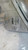 FIAT SEICENTO (1998) FANALERIA PROIETTORE ANT. SX. USATO Da 2000 A 2005 [[262009]]