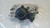 FIAT SEICENTO (1998) FANALERIA PROIETTORE ANT. DX. USATO Da 2000 A 2005 [[262010]]