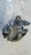 CITROEN C3 AIRCROSS (2017) IMPIANTO FRENANTE PINZA FRENO POST. SX. USATO Da 2017 A 2021 [[262022]]