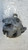CITROEN C3 AIRCROSS (2017) IMPIANTO FRENANTE PINZA FRENO POST. DX. USATO Da 2017 A 2021 [[262023]]