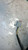 FORD FIESTA «V» (2002) CRISTALLI RETROVISORE ESTERNO ANT. SX. USATO Da 2002 A 2008 [[262040]]