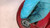 CHEVROLET MATIZ «II» (2006) FANALERIA FANALE POST. DX. USATO Da 2005 A 2011 [[262095]]