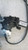 FORD FOCUS «I» (1999) CRISTALLI ALZACRISTALLO PORTA ANT. DX. USATO Da 2000 A 2002 [[262206]]