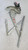 FIAT SEDICI (2006) CRISTALLI ALZACRISTALLO PORTA ANT. DX. USATO Da 2005 A 2009 [[262744]]