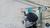PIAGGIO PORTER MAXXI (2009) CRISTALLI MECCANISMO TERGICRISTALLO USATO Da 2010 A 2015 [[262953]]