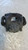 JEEP RENEGADE (2018) IMPIANTO FRENANTE PINZA FRENO ANT. SX. USATO Da 2018 in poi [[263154]]
