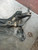 FIAT PANDA «II» (2004) ASSALE ASSALE ANT. USATO Da 2003 A 2009 [[263294]]