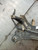 FIAT PANDA «II» (2004) ASSALE ASSALE ANT. USATO Da 2003 A 2009 [[263294]]
