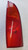 FORD FOCUS «I» (1999) FANALERIA FANALE POST. SX. USATO Da 2000 A 2002 [[262213]]