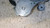 FIAT 500 «II» (2015) MOTORE TENDICINGHIA ACCESSORI USATO Da 2020 in poi [[264061]]