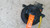 TOYOTA YARIS (FRANCE ) «III» (2009) STERZO PIASTRA CONTATTO USATO Da 2009 A 2011 [[264266]]
