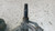 PEUGEOT 207 (2006) CRISTALLI MECCANISMO TERGICRISTALLO USATO Da 2006 A 2009 [[264474]]