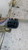 LANCIA Y10 (1990) CRISTALLI ALZACRISTALLO PORTA ANT. DX. USATO Da 1992 A 1995 [[264488]]