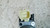 FORD FIESTA «VI» (2008) CRISTALLI MOTORINO ALZACRISTALLO PORTA ANT. DX. USATO Da 2008 A 2012 [[264632]]
