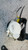 FORD FIESTA «VI» (2008) SICUREZZA CINTURA DI SICUREZZA SEDILE ANT. DX. USATO Da 2008 A 2012 [[264637]]
