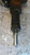 FORD TRANSIT «V» (2006) SCARICO E INIEZIONE DISTRIBUTORE CARBURANTE (FLAUTO) USATO Da 2006 A 2011 [[264922]]