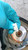 FIAT SEDICI (2006) SICUREZZA AIR-BAG GUIDATORE USATO Da 2009 in poi [[265224]]