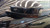 LAND ROVER DISCOVERY «V» SPORT (2019) CRISTALLI RETROVISORE ESTERNO ANT. SX. USATO Da 2019 in poi [[265352]]