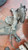 ASSALE POST. USATO DAL 2017 NISSAN QASHQAI «II» (2017) 555014EA0A [[265423]]