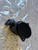 FORD C-MAX «I» (2003) SCARICO E INIEZIONE MISURATORE MASSA ARIA USATO Da 2003 A 2007 [[266068]]