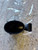 FORD C-MAX «I» (2003) SCARICO E INIEZIONE MISURATORE MASSA ARIA USATO Da 2003 A 2007 [[266068]]