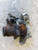 RENAULT CAPTUR «I» (2013) SCARICO E INIEZIONE TURBINA USATO Da 2014 A 2017 [[266112]]