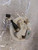 POMPA CARBURANTE C/GALLEGGIANTE USATO DAL 2005 AL 2012 TOYOTA AYGO «I» (2005) 770200H030 [[266412]]