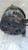 FORD FOCUS «III» (2008) IMPIANTO ELETTRICO ALTERNATORE USATO Da 2008 A 2011 [[266427]]