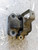 PEUGEOT BIPPER (2008) MOTORE SUPPORTO GOMMA MOTORE (LATO CAMBIO) USATO Da 2010 in poi [[266476]]