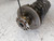 OPEL CORSA «D» (2010) MOTORE ALBERO MOTORE USATO Da 2010 A 2011 [[266264]]