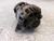 NISSAN MICRA «III» (2005) IMPIANTO ELETTRICO ALTERNATORE USATO Da 2005 A 2010 [[266672]]